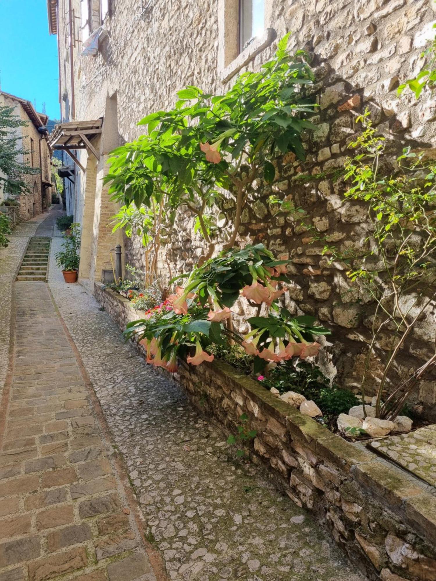 Cuore Del Castello Arrone المظهر الخارجي الصورة